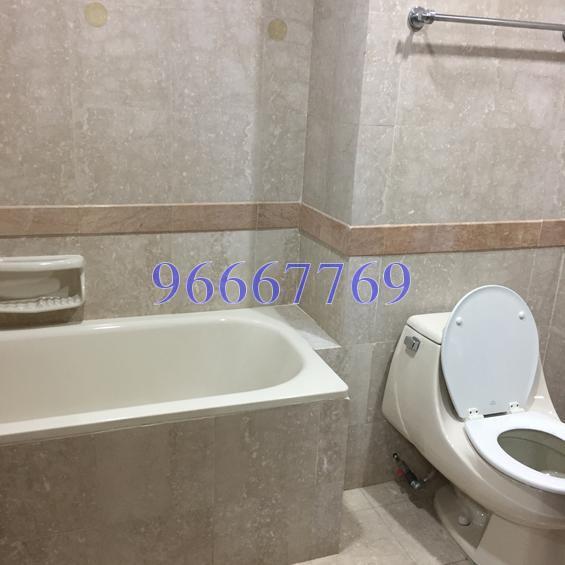 Tanglin Regency (D10), Condominium #133798502